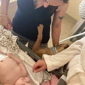 Meet your Posher, Crystal